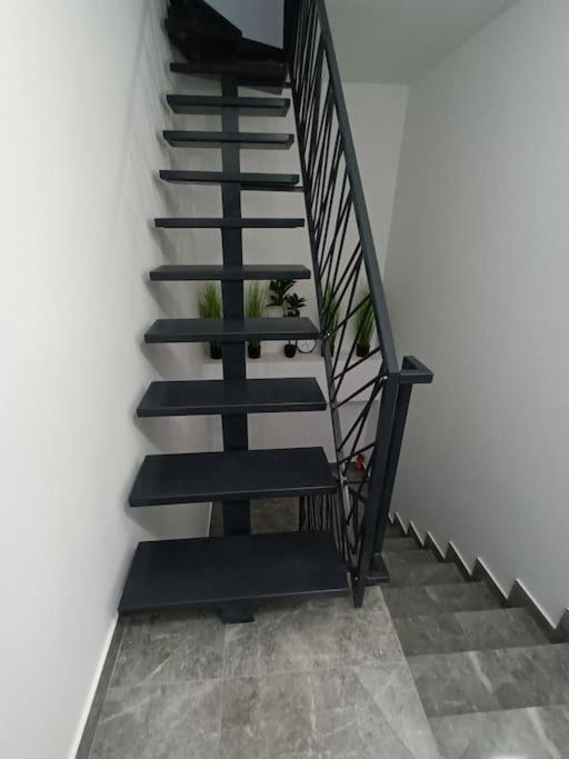 Old Town Studio 1 Apartment Nr 1 Baia Mare Exterior foto