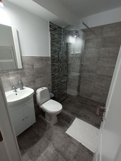 Old Town Studio 1 Apartment Nr 1 Baia Mare Exterior foto