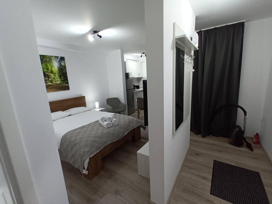 Old Town Studio 1 Apartment Nr 1 Baia Mare Exterior foto