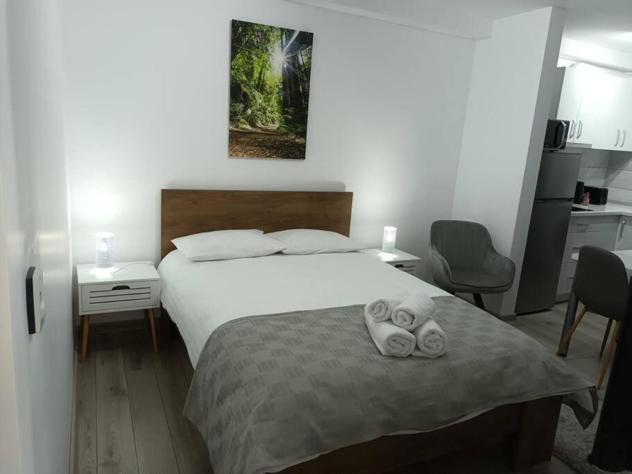 Old Town Studio 1 Apartment Nr 1 Baia Mare Exterior foto