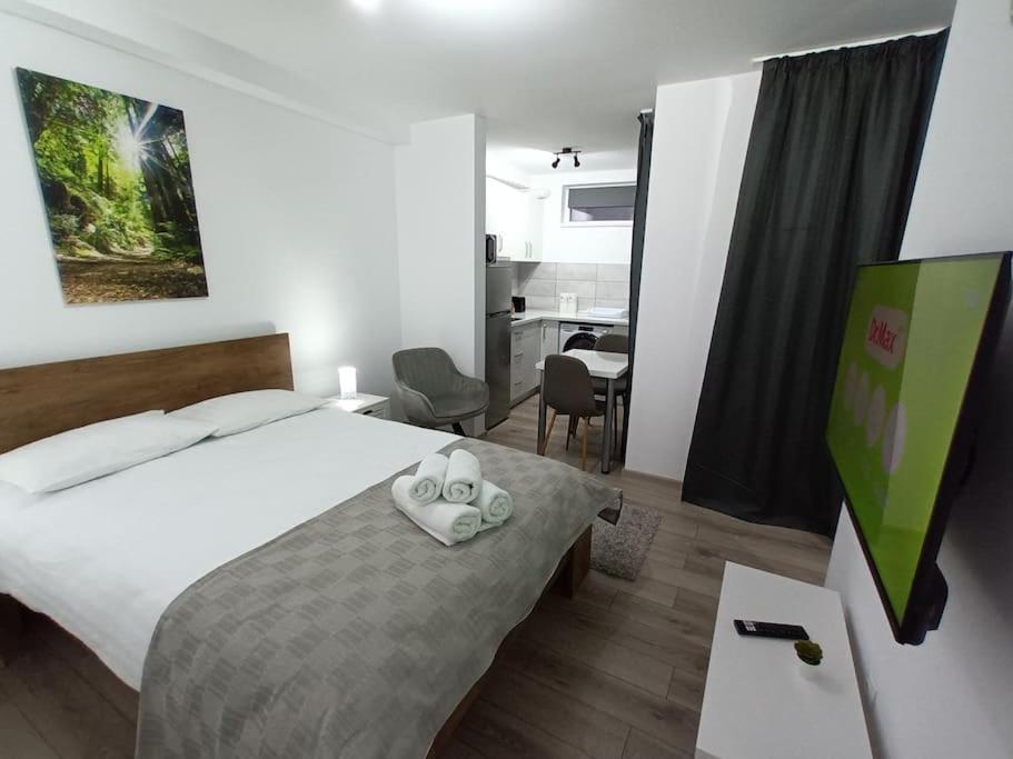 Old Town Studio 1 Apartment Nr 1 Baia Mare Exterior foto